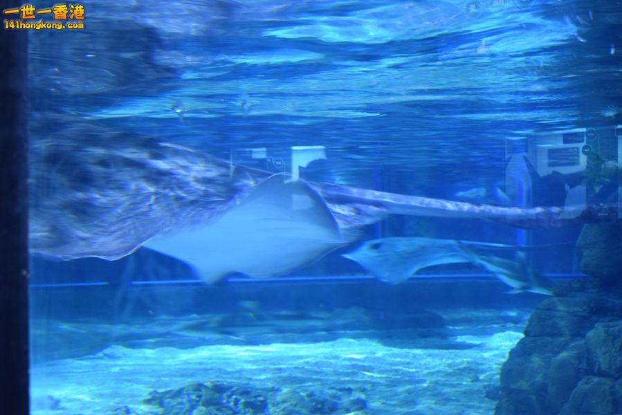 SC_0011.JPG