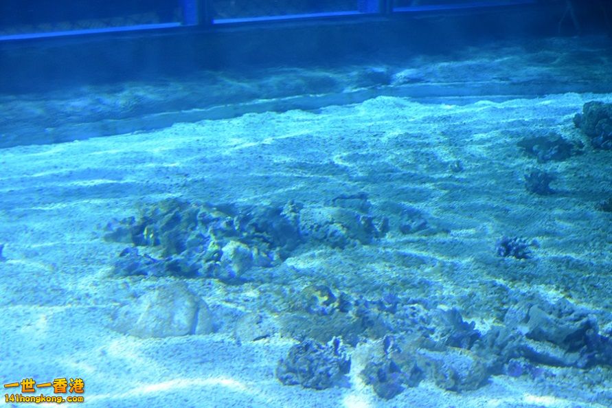 SC_0010.JPG