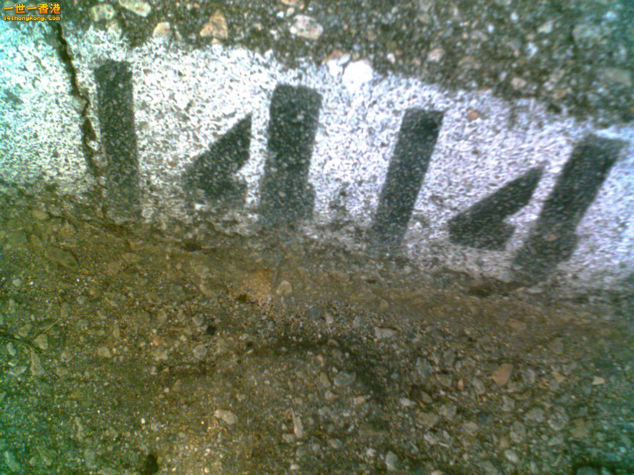 141.jpg