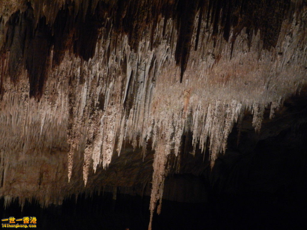 DSCN3077.JPG