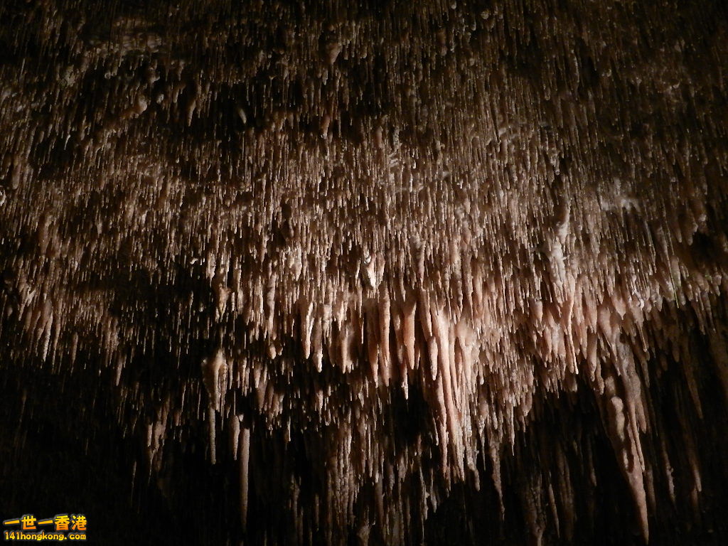 DSCN3078.JPG