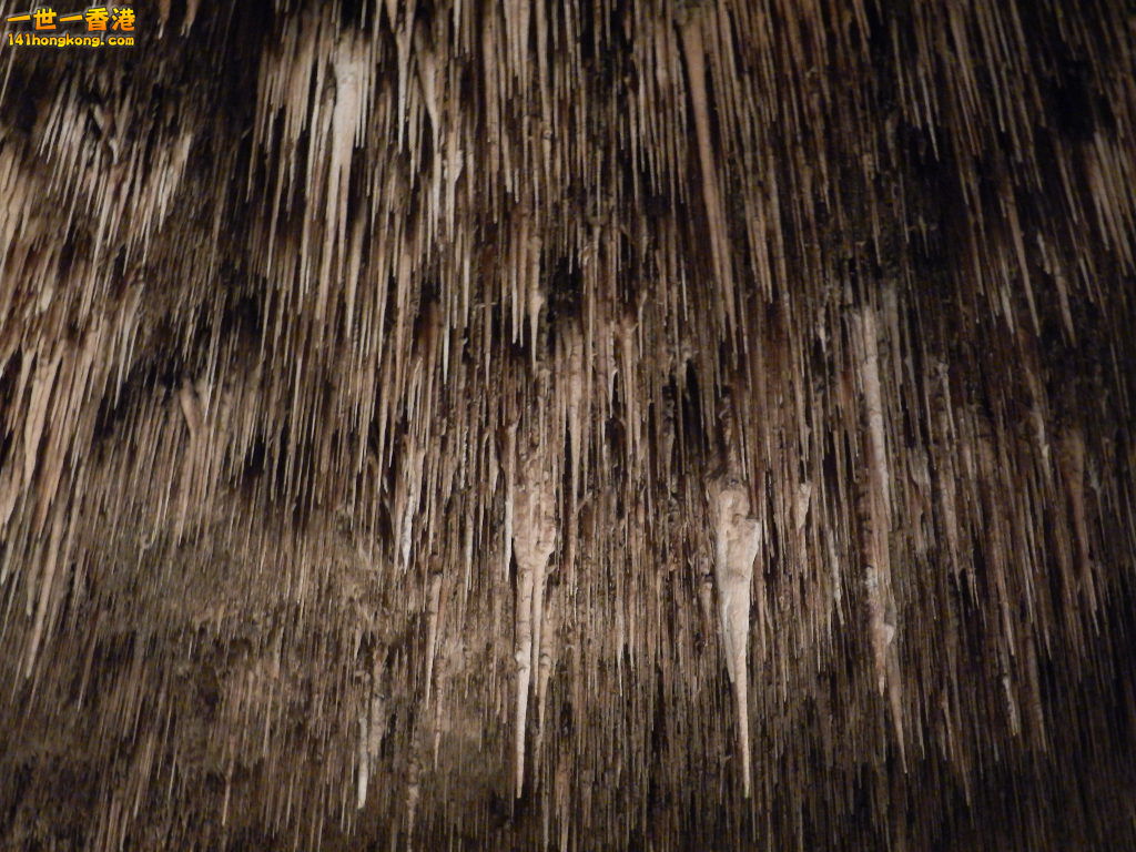 DSCN3090.JPG