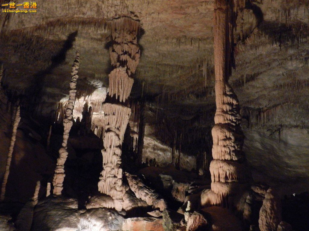 DSCN3096.JPG
