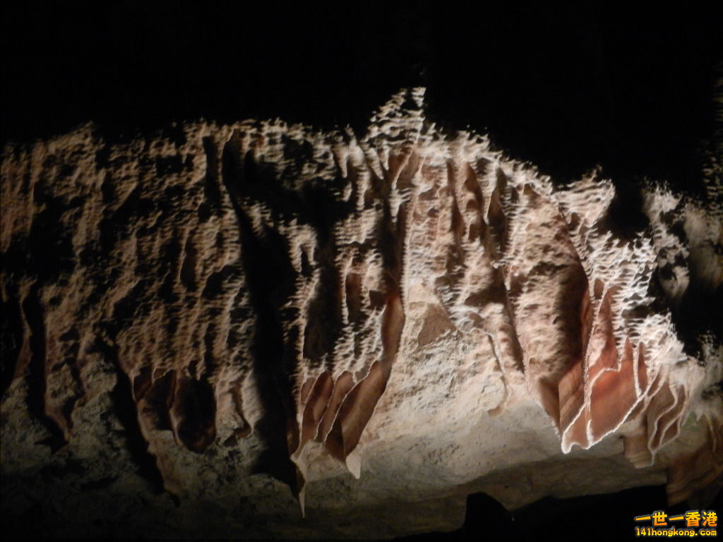 DSCN3105.JPG