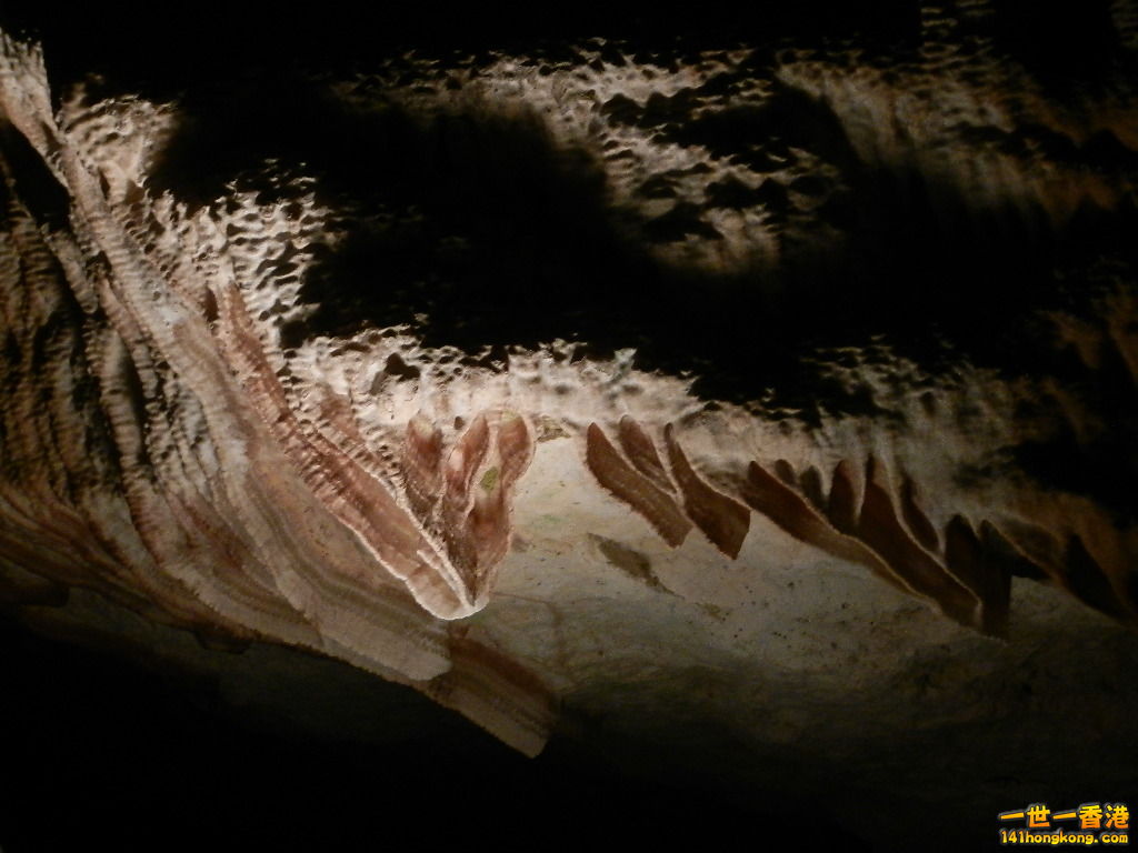 DSCN3106.JPG