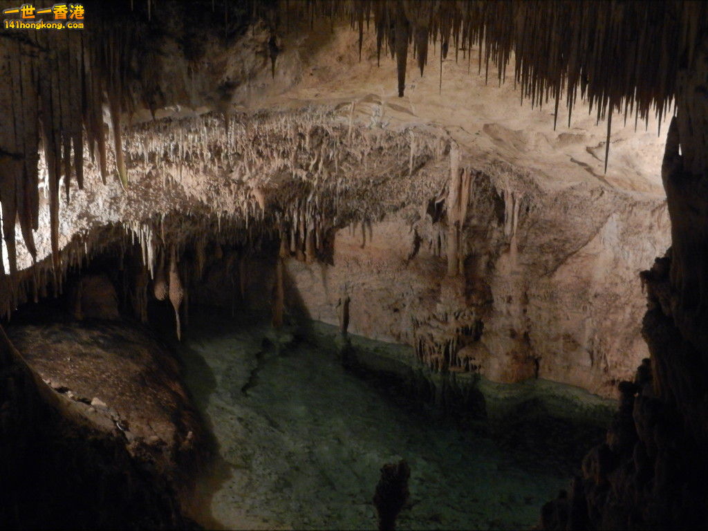 DSCN3111.JPG