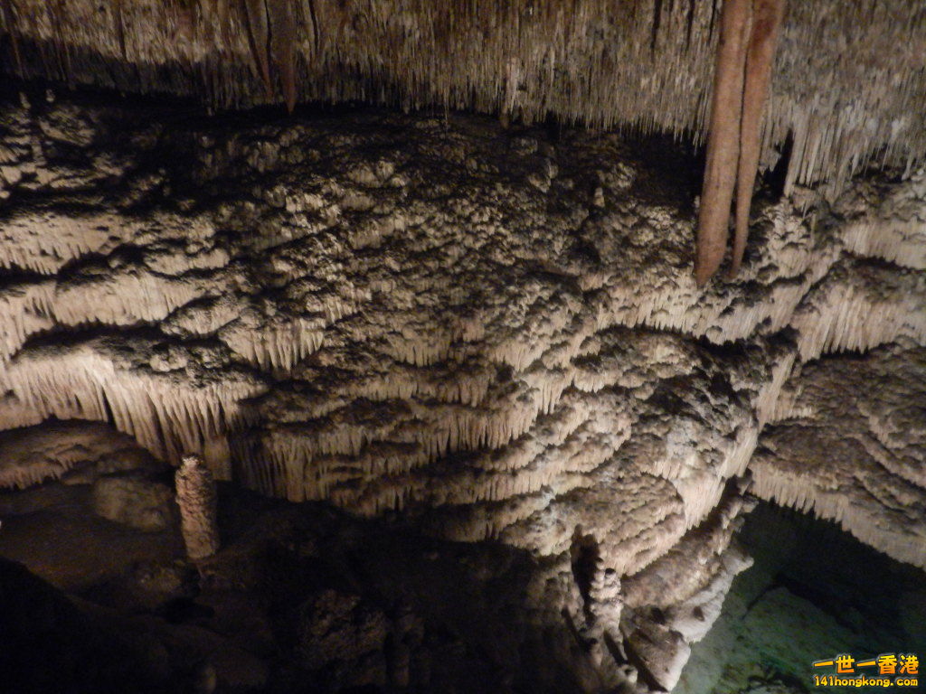 DSCN3115.JPG