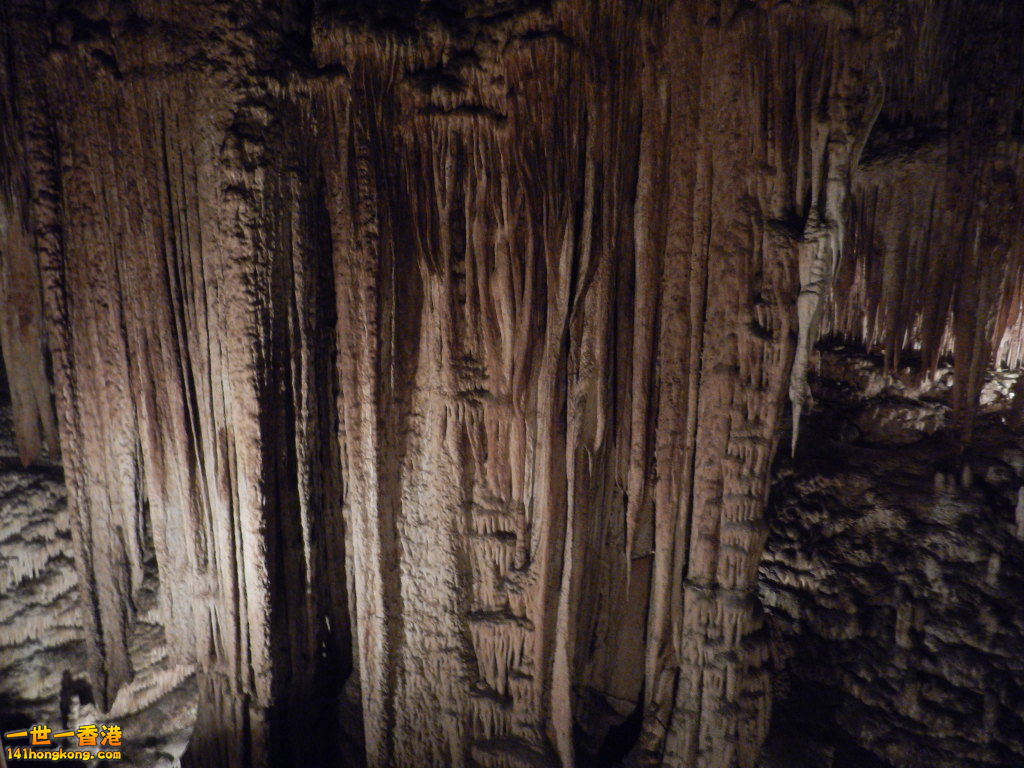 DSCN3114.JPG