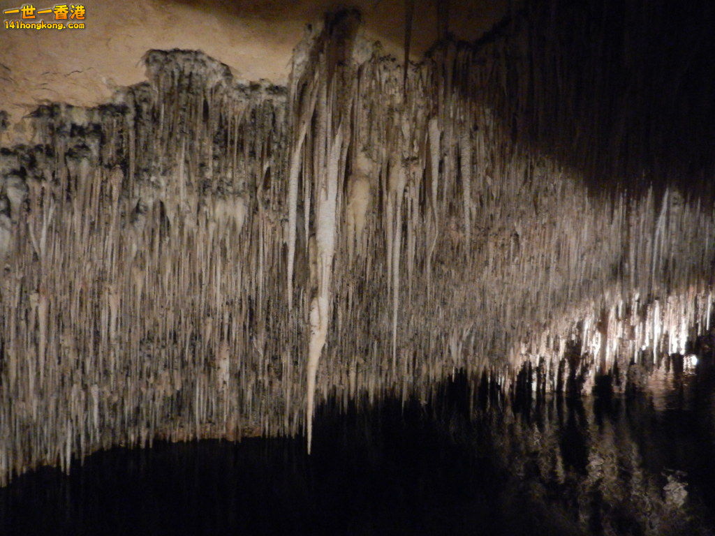 DSCN3127.JPG