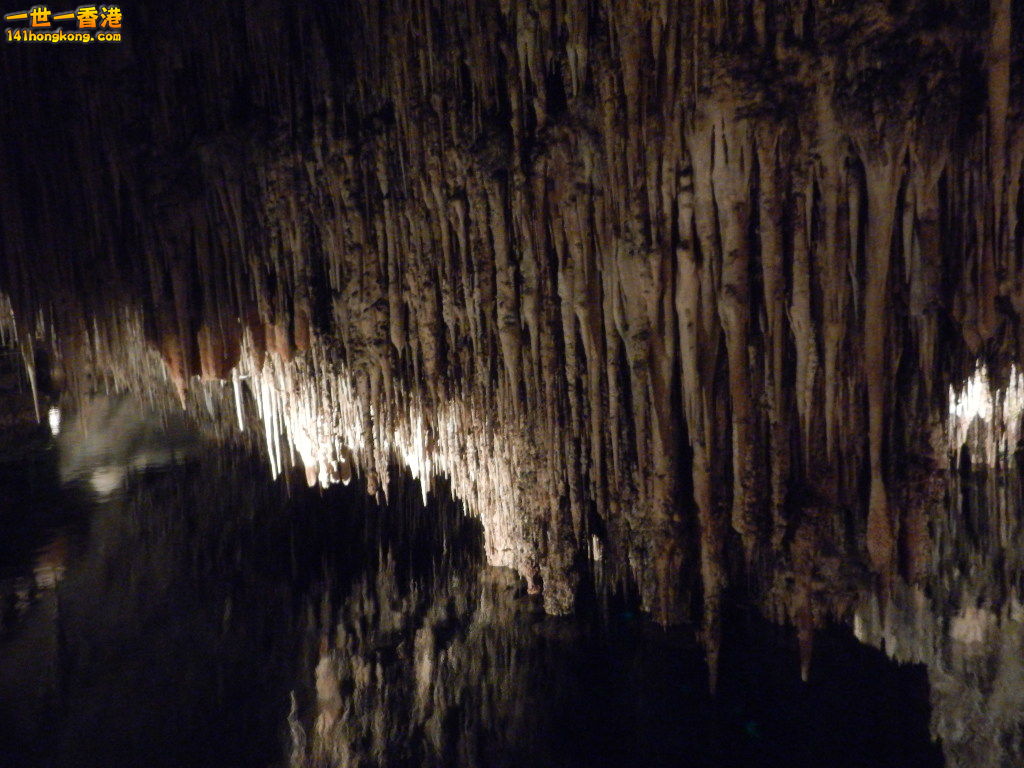 DSCN3124.JPG