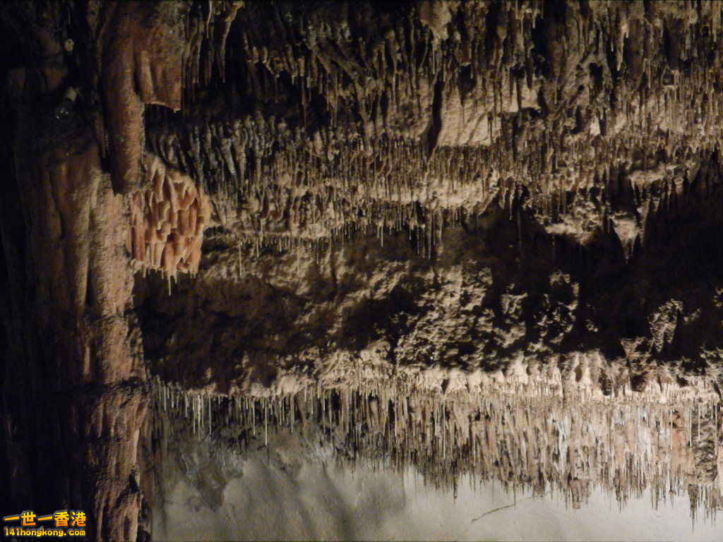 DSCN3139.JPG