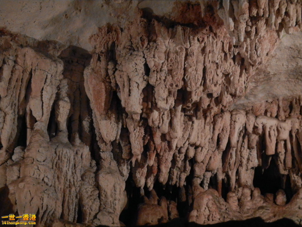DSCN3147.JPG