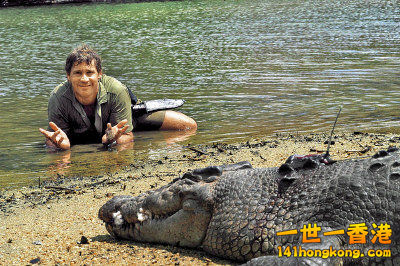 鱷魚.jpg