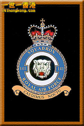 141Sqn (1).jpg