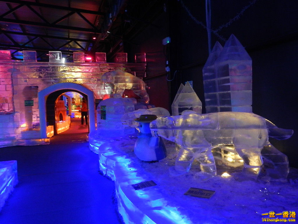DSCN3706.JPG