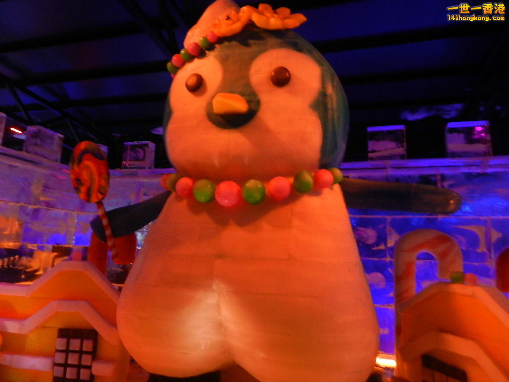 DSCN3721.JPG