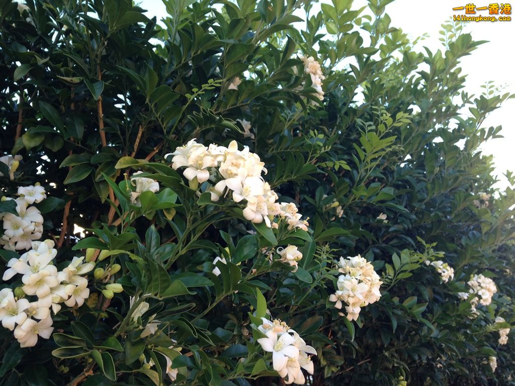 IMG_6027_副本.jpg