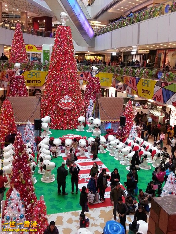 20141223_135932.jpg