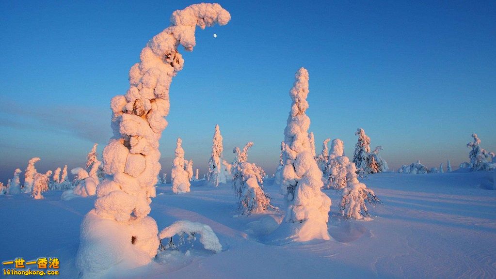 2. 芬蘭 拉普蘭區.jpg