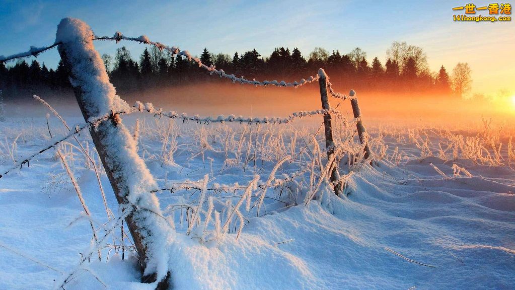 5. 愛沙尼亞(Estonia).jpg