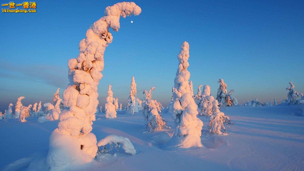 2. 芬蘭 拉普蘭區.jpg