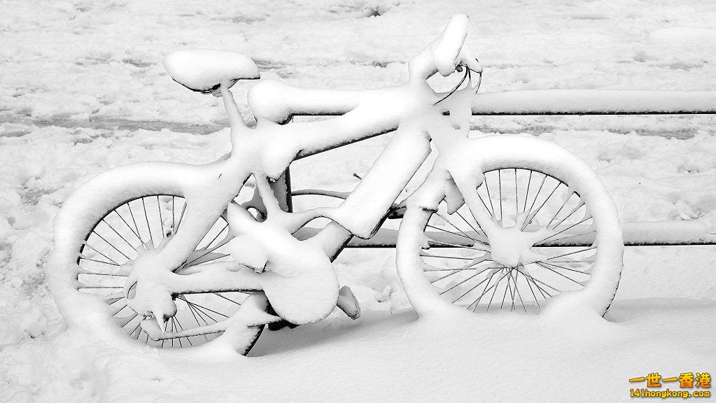 11. 白雪腳踏車.jpg