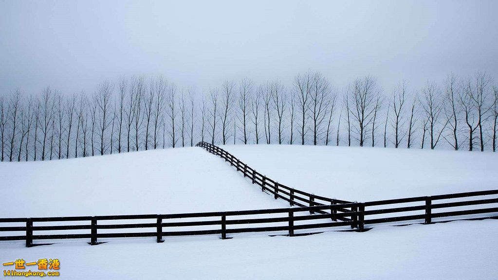 13. 平原與籬笆.jpg