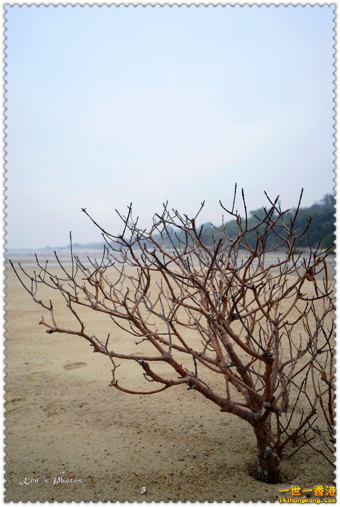 下白泥013.jpg