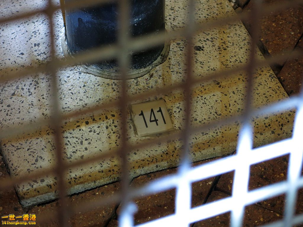 IMG_6002.JPG