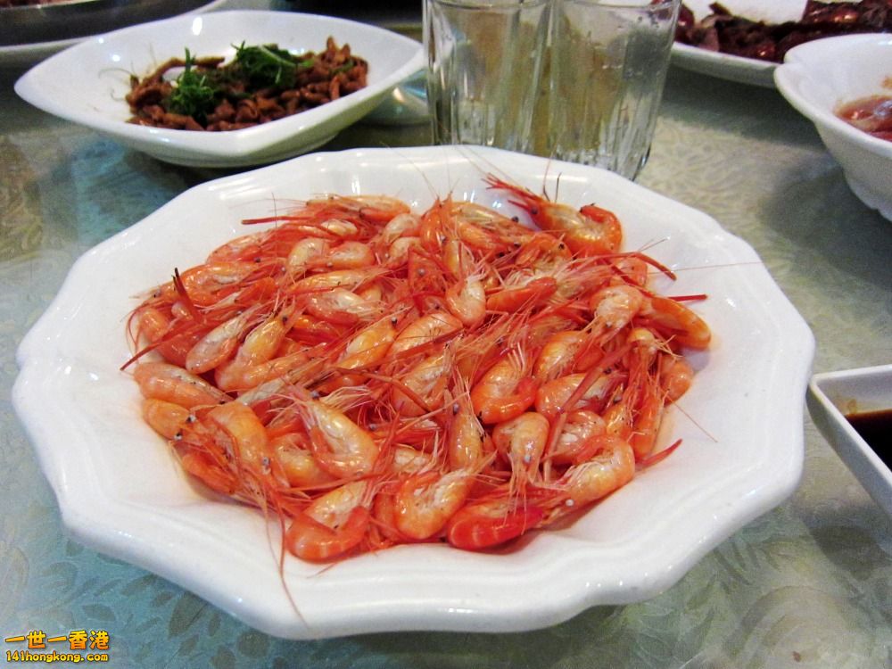 IMG_6244_conew1.jpg