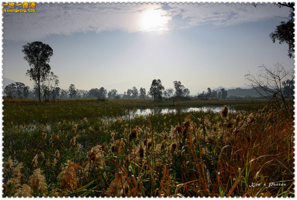 南生圍鯉魚門039.jpg