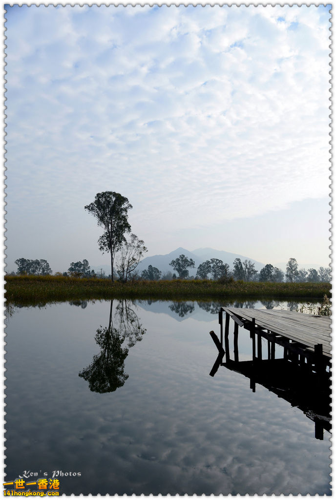 南生圍鯉魚門041.jpg