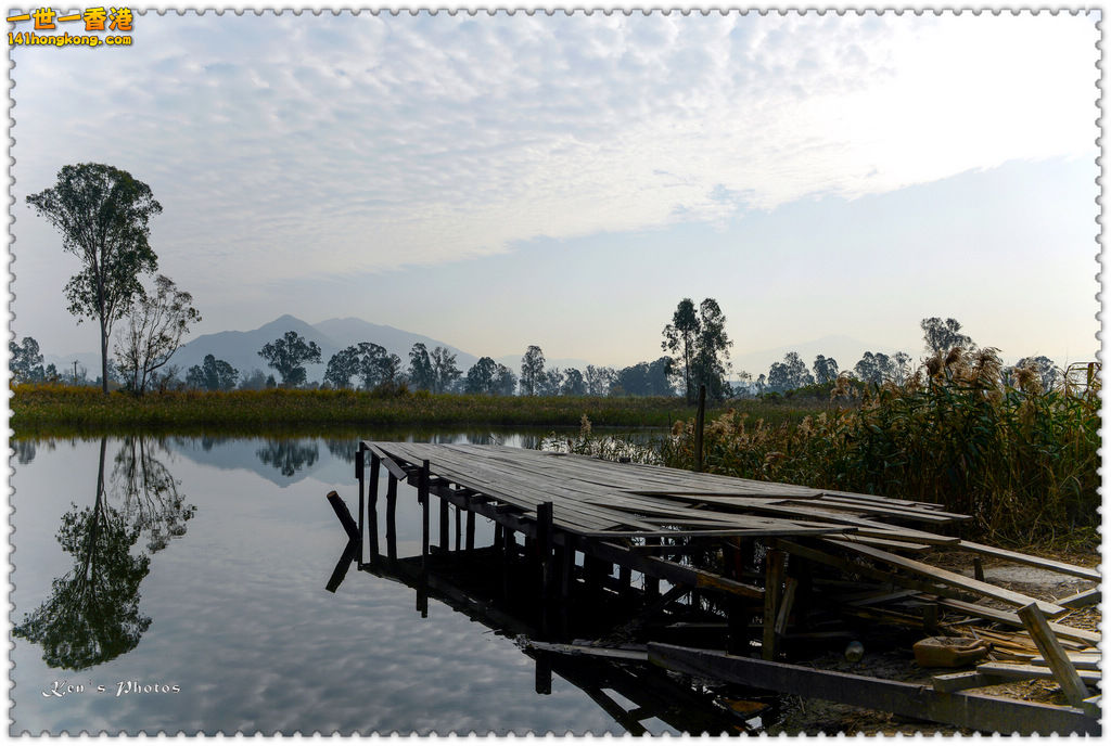 南生圍鯉魚門042.jpg