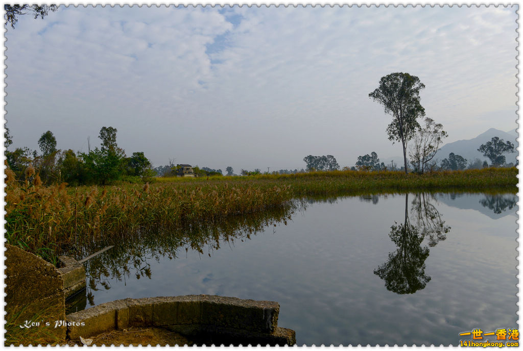 南生圍鯉魚門043.jpg