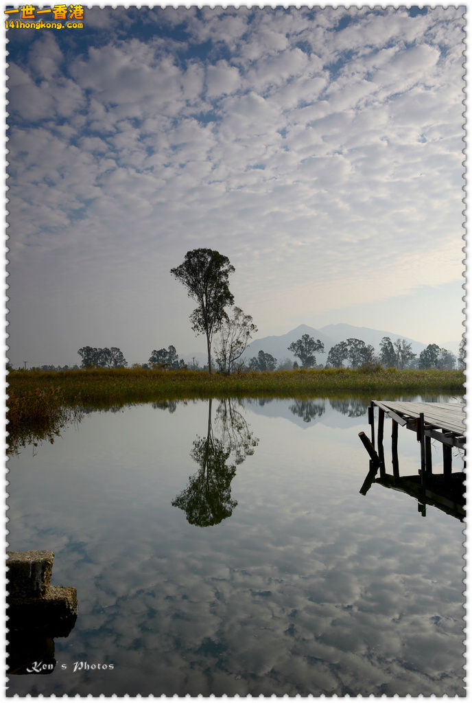 南生圍鯉魚門046.jpg