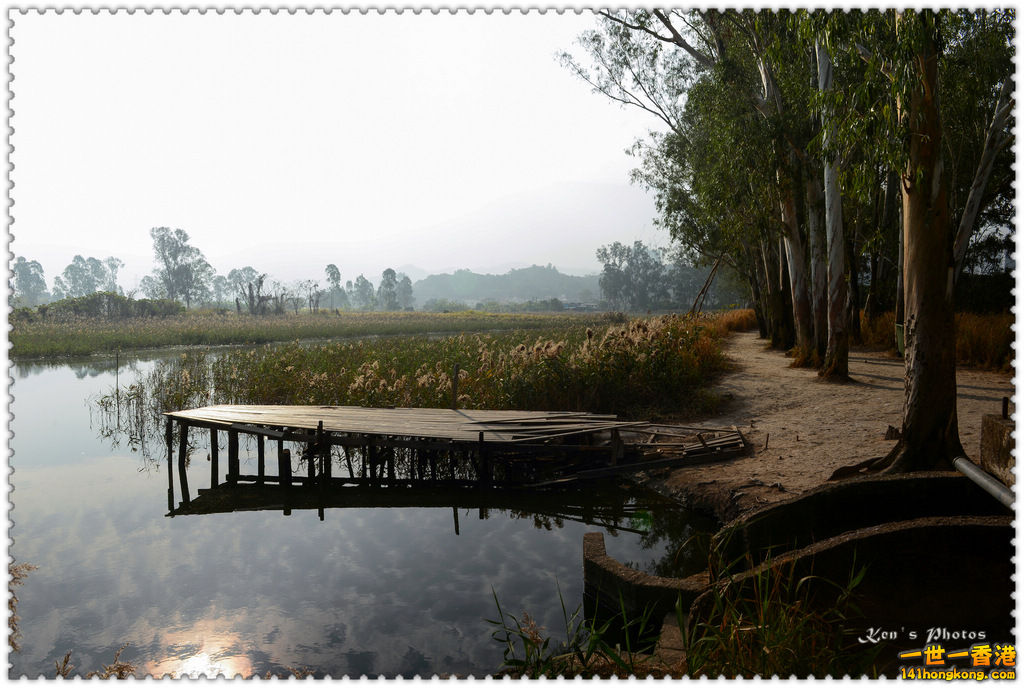 南生圍鯉魚門047.jpg