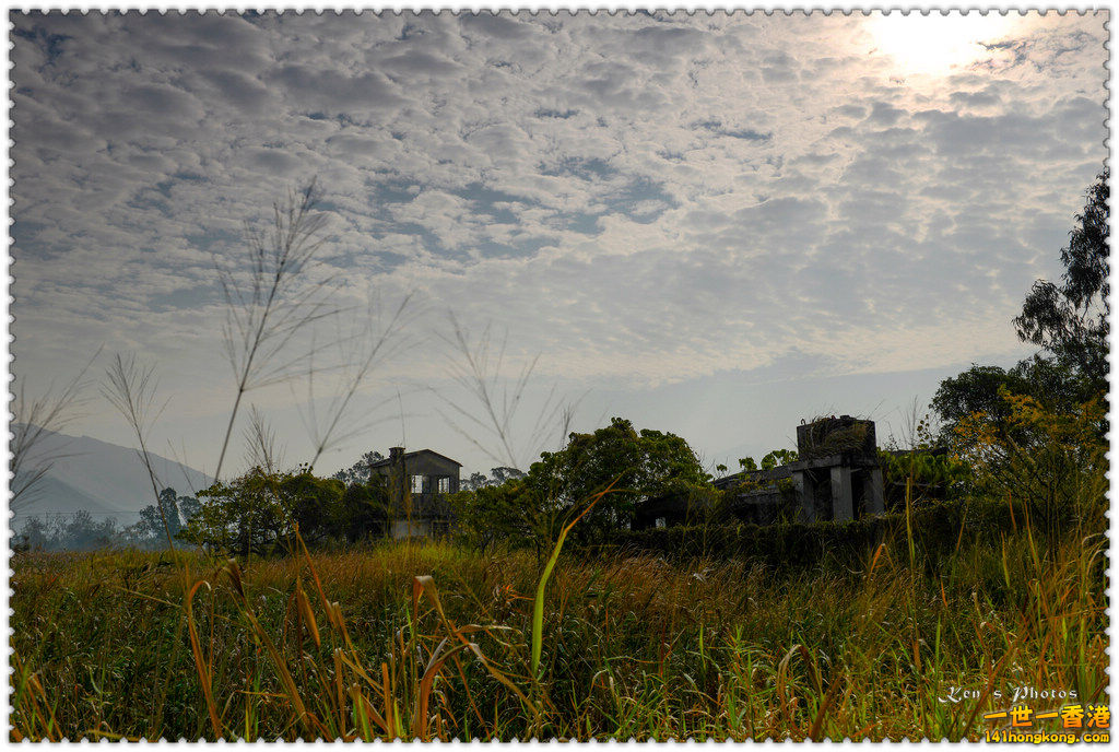 南生圍鯉魚門048.jpg
