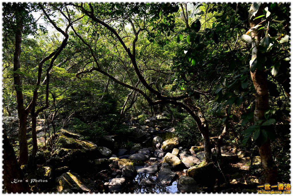 南生圍鯉魚門059.jpg