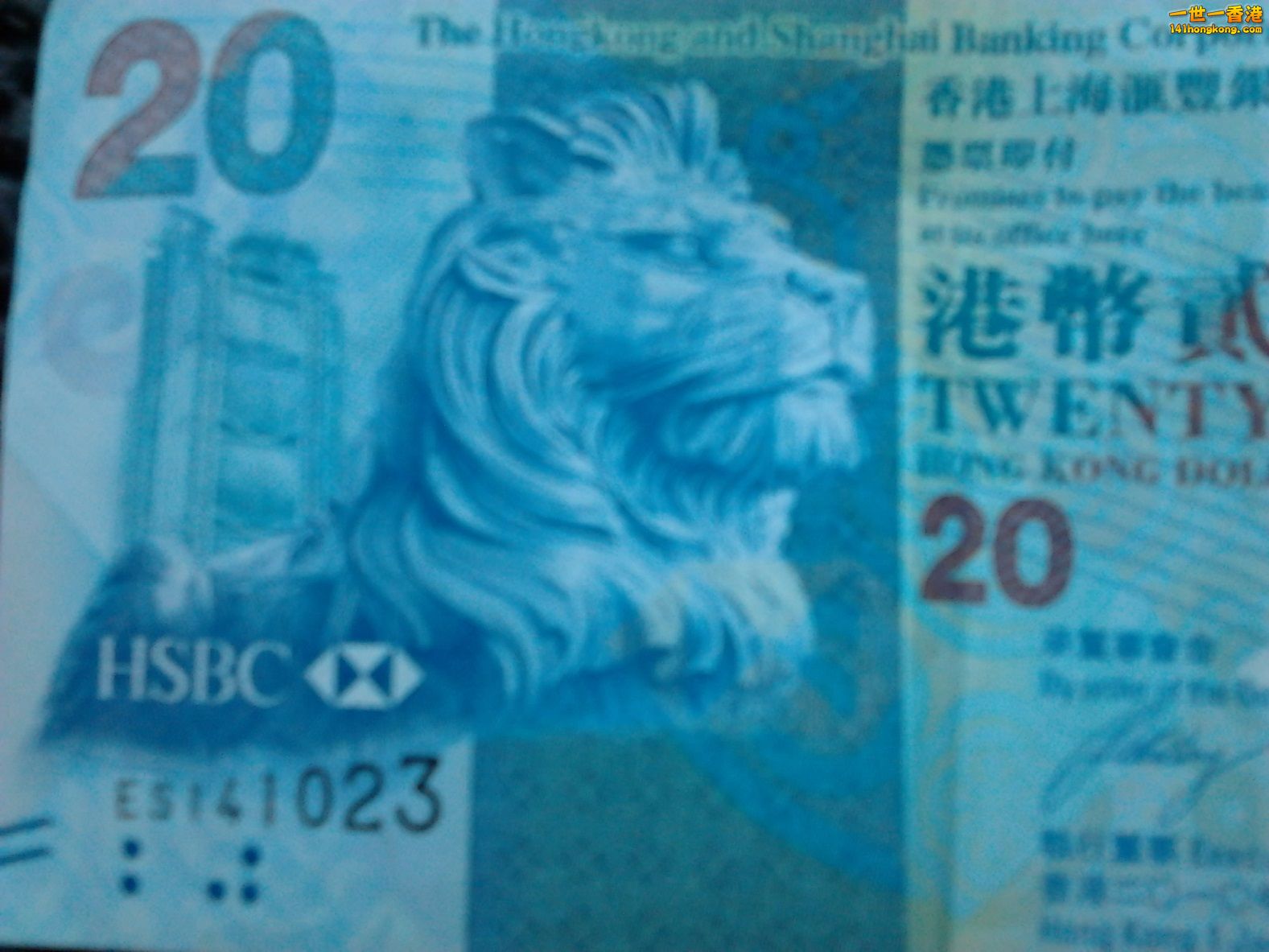 相片0991.jpg