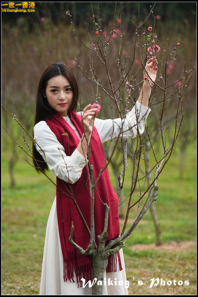 150124 Peach Blossom - 0051.jpg