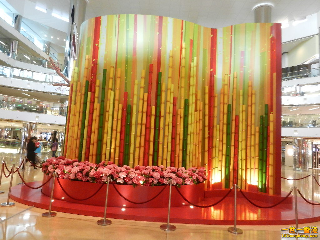 DSCN3906.JPG