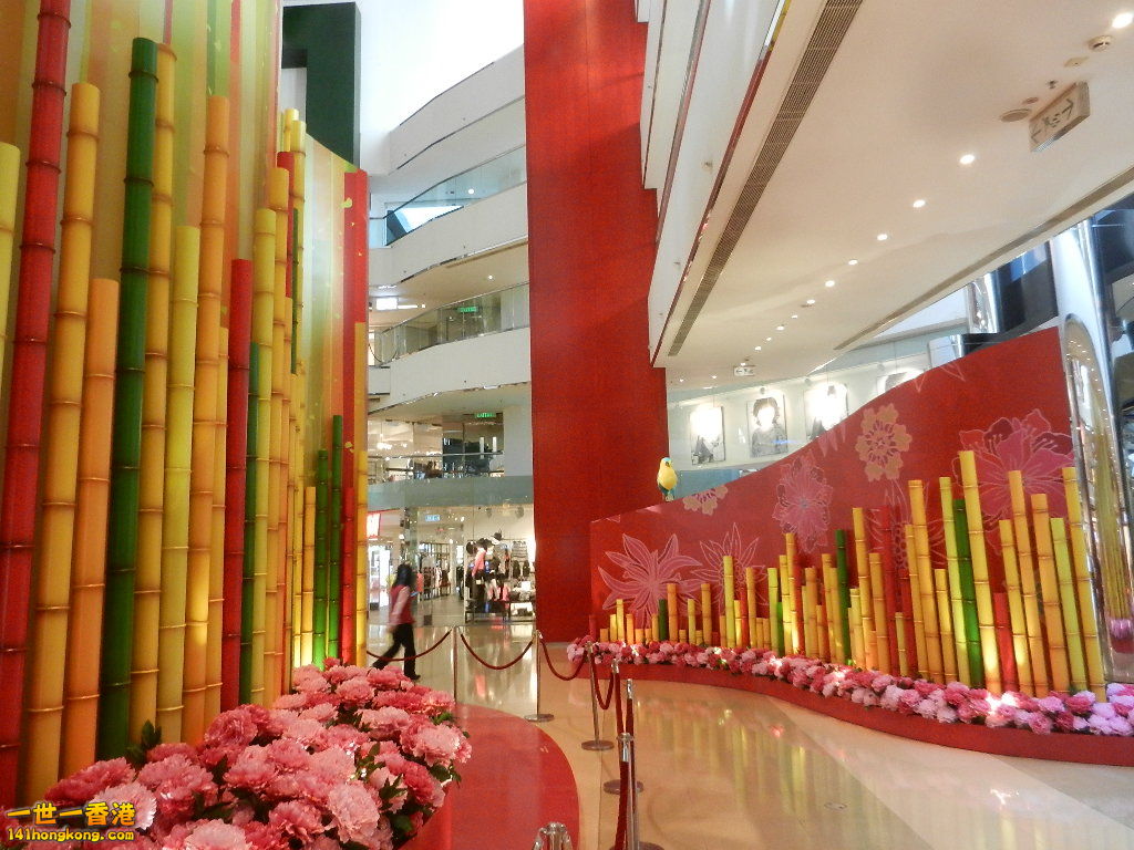 DSCN3910.JPG