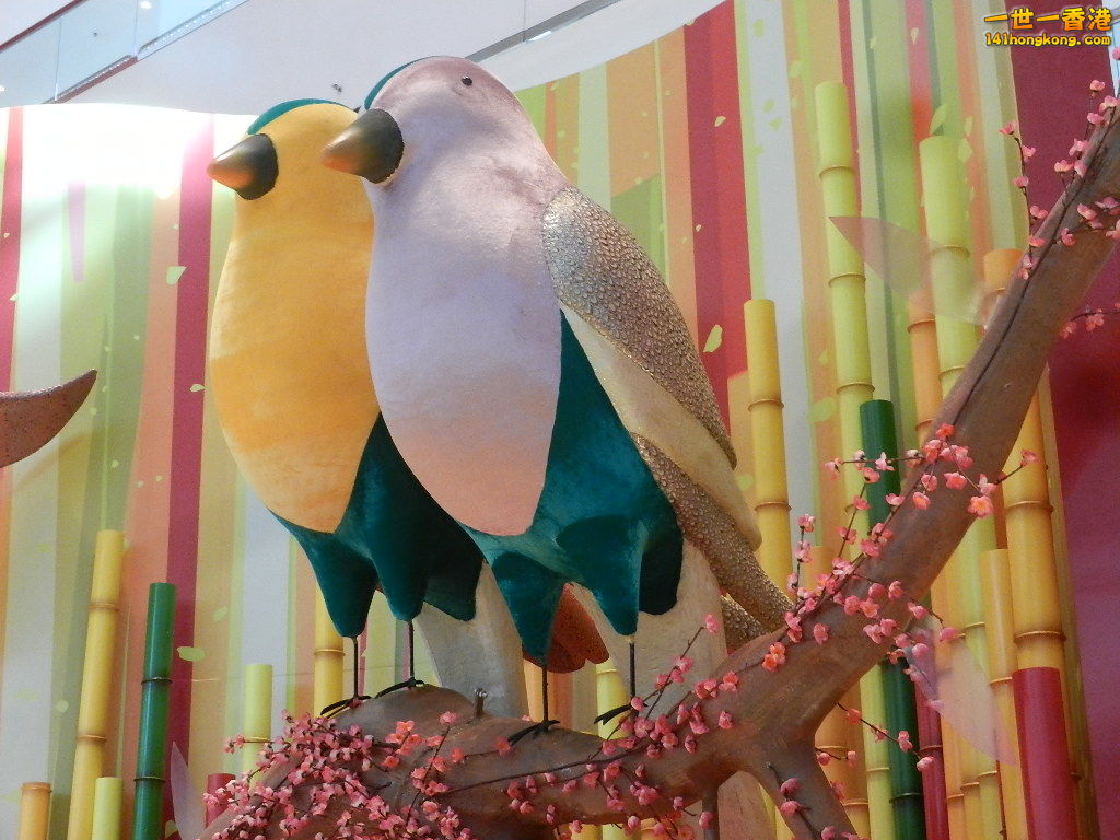 DSCN3913.JPG