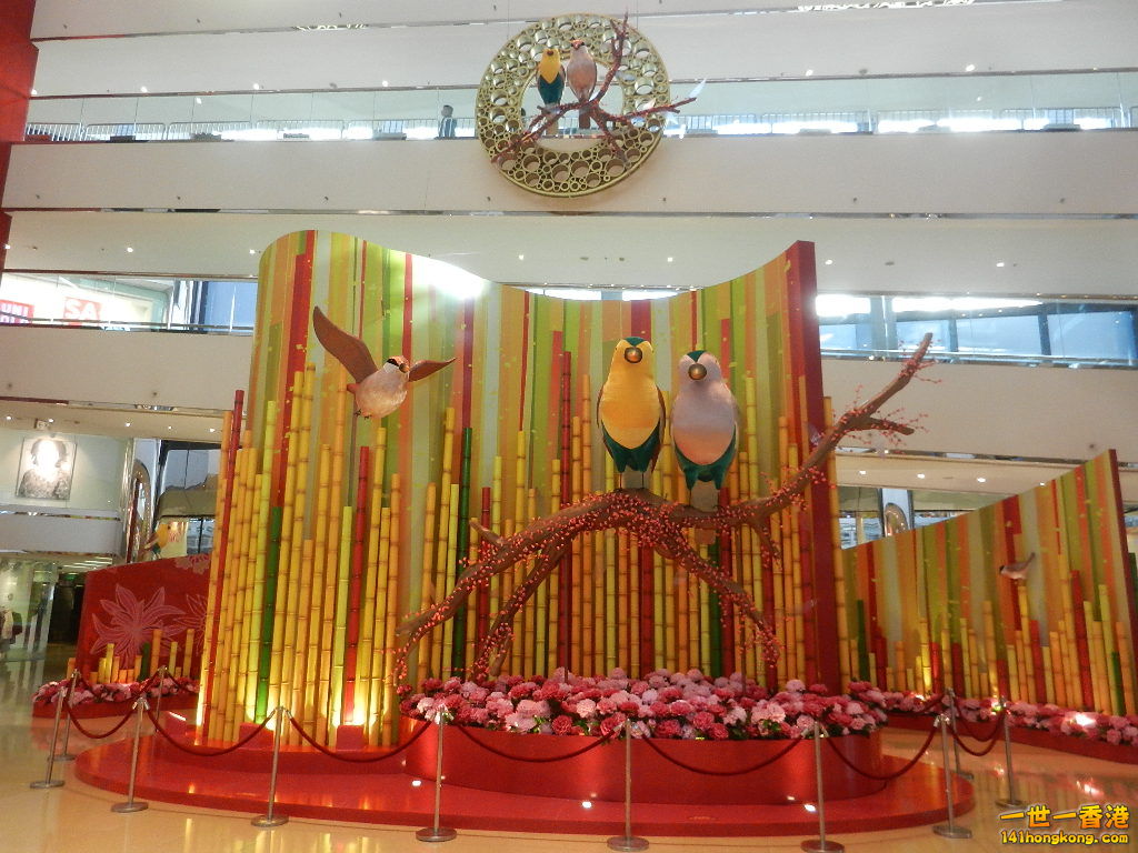 DSCN3916.JPG