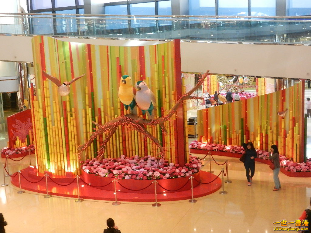 DSCN3919.JPG