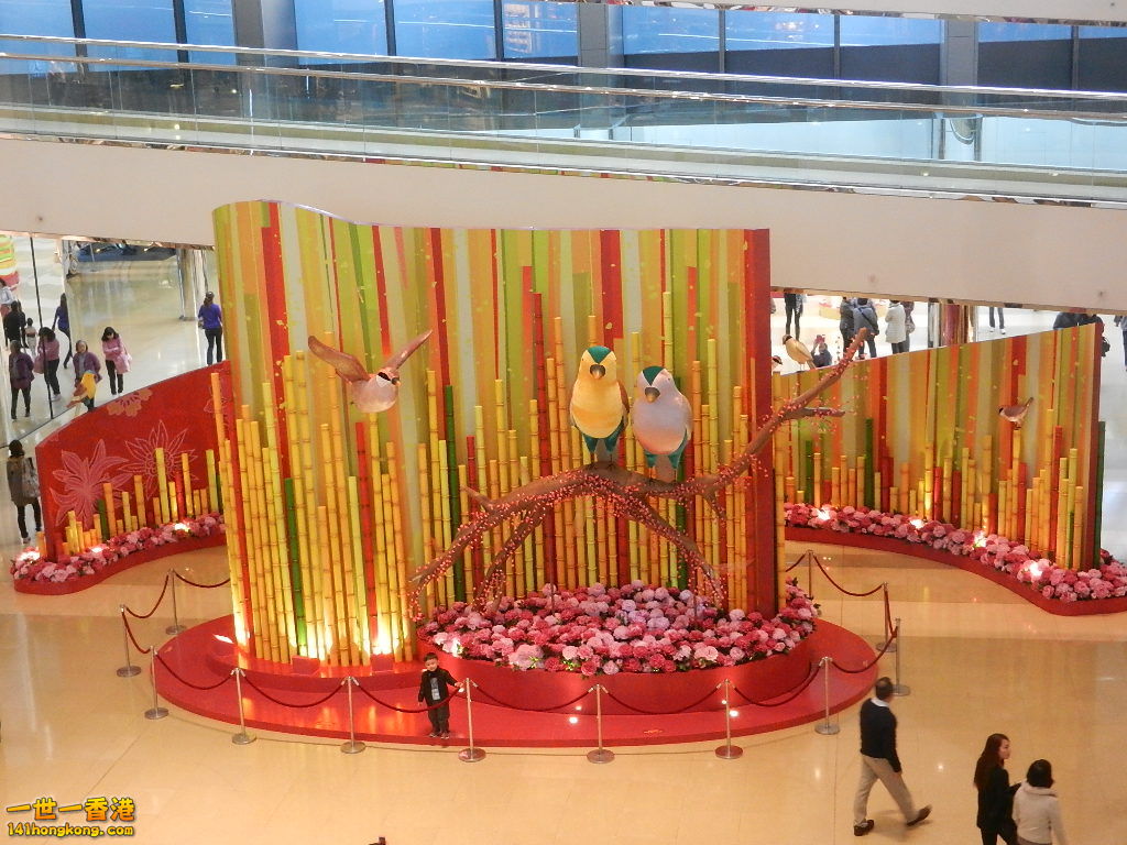DSCN3923.JPG