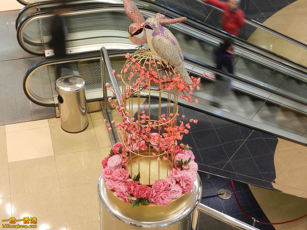 DSCN3891.JPG