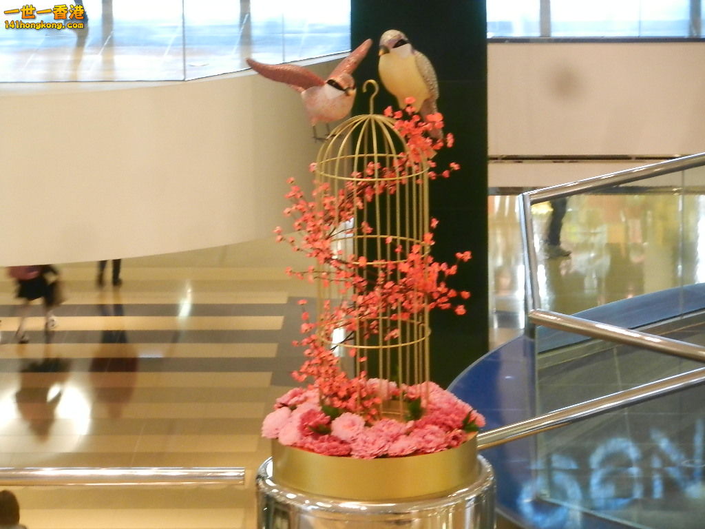 DSCN3894.JPG