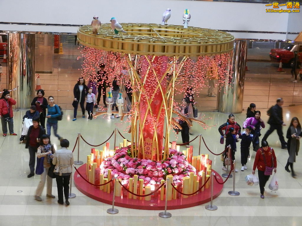 DSCN3895.JPG
