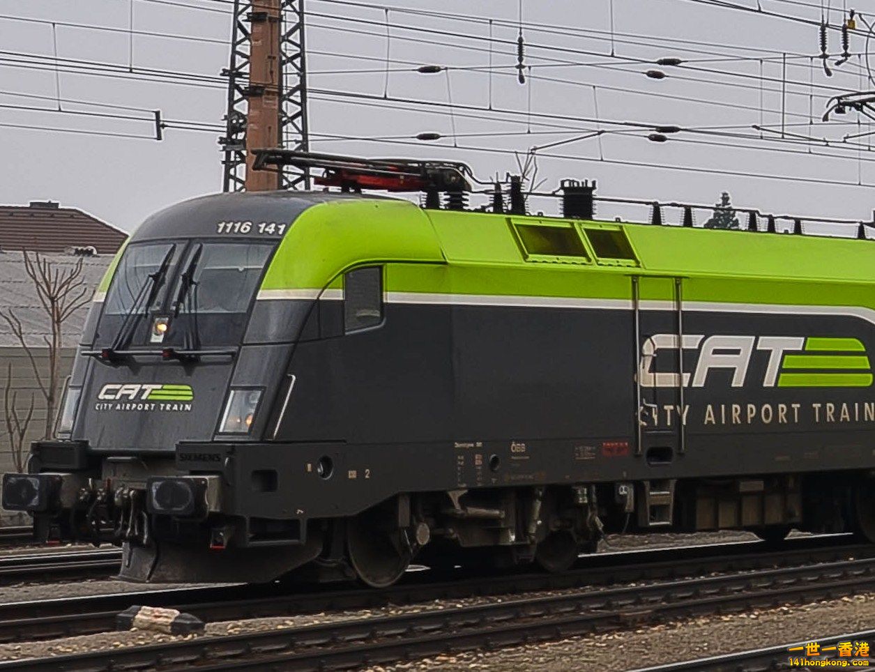 1116-141.jpg